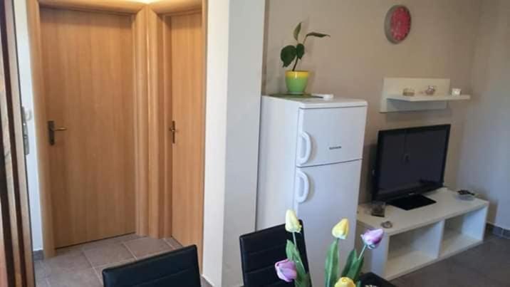 Apartment Dukic Sveti Filip i Jakov Eksteriør billede