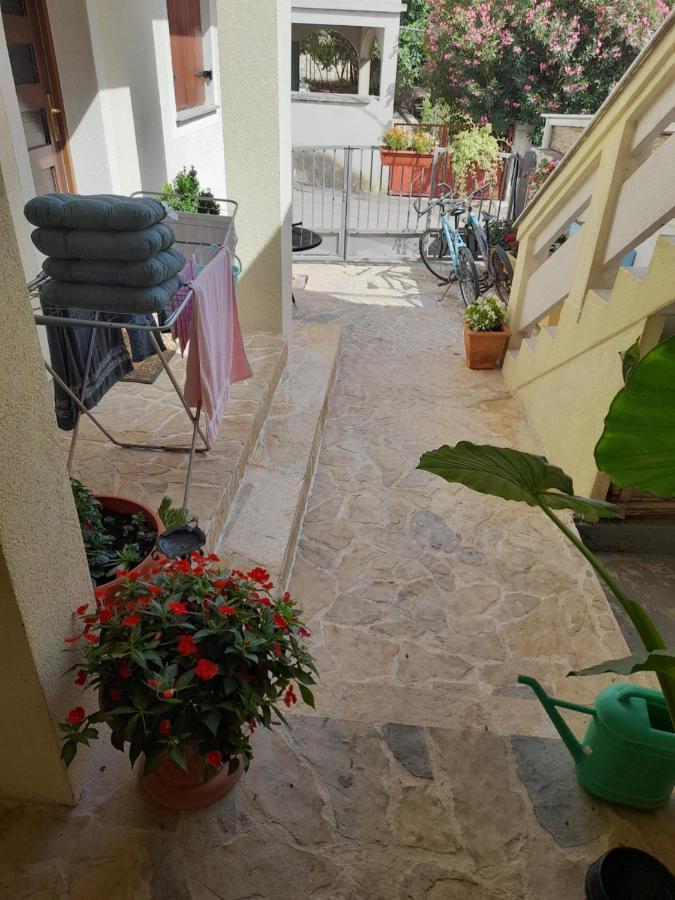 Apartment Dukic Sveti Filip i Jakov Eksteriør billede