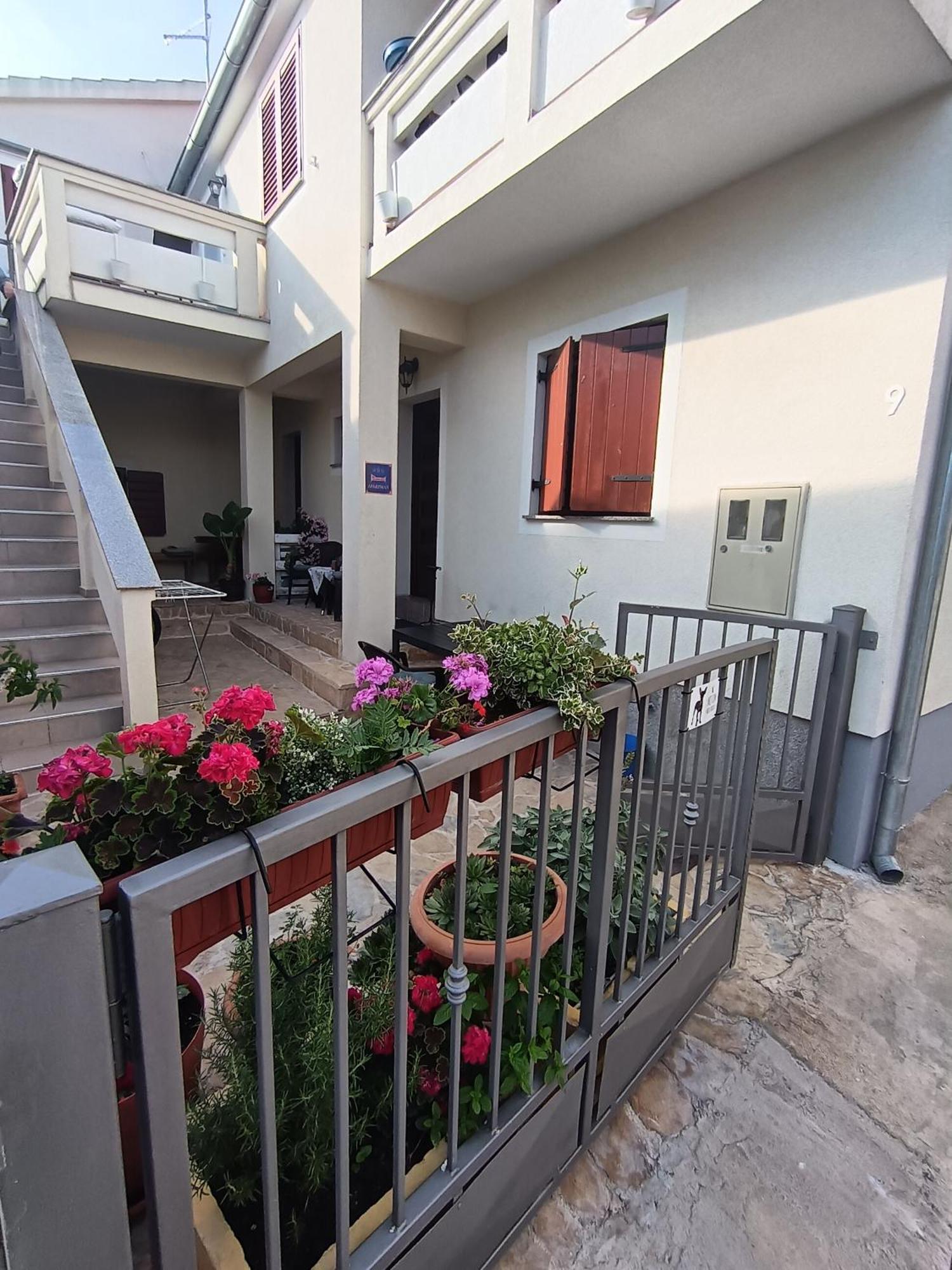 Apartment Dukic Sveti Filip i Jakov Eksteriør billede